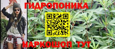 Альфа ПВП Краснознаменск