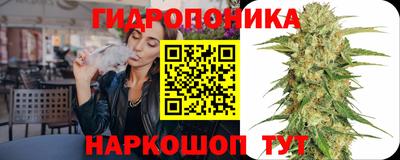 Альфа ПВП Краснознаменск
