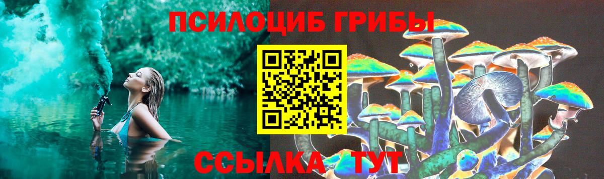 Псилоцибиновые грибы Psilocybine cubensis Тула