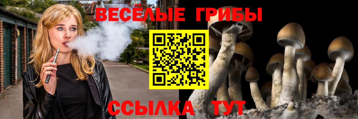 Тула  Галлюциногенные грибы GOLDEN TEACHER  Вход с VPN  Псилоцибиновые грибы мухоморы 
